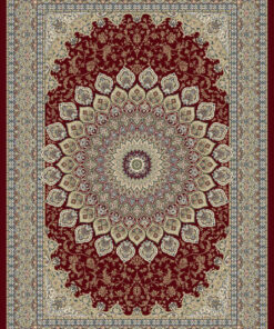Agra 57090 area rug full view with medallion pattern