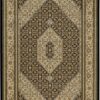 Agra 57090 area rug full view with medallion pattern