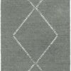 Amiani 23229 Area Rug - 4 x 6 (ft)