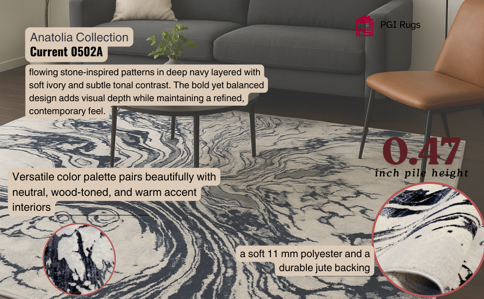 Current Navy PGI Rug 10x13 ft - Image 3