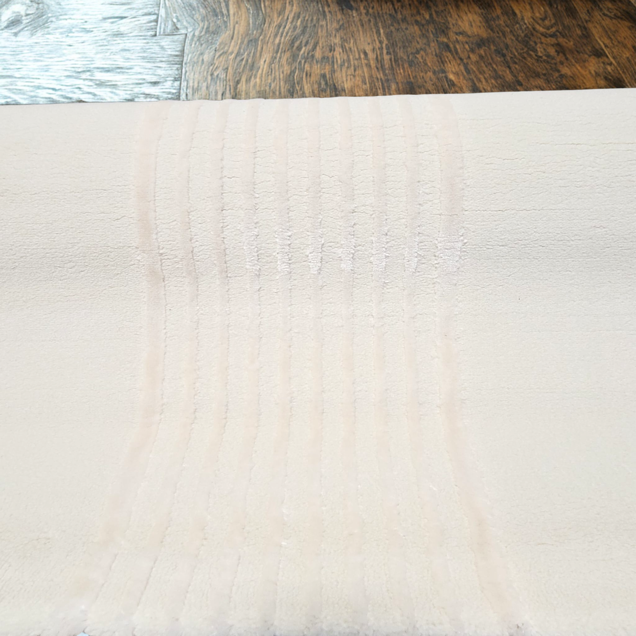 Horizon Cream 0201A PGI Rug 4x6 ft - Image 5