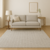 Modern rug styled in a light, contemporary room