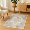 Opulence 4156Z Area Rug - 2.7x4 (ft)