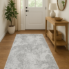 Platinum 83011 Area Rug - 2.7 x 5 (ft) - Image 2