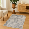 Spencer 52023 Area Rug - 2.7x4 (ft) - Image 2