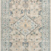 Nourison 9x12 (ft) Taupe Blue Modern Washable Rug