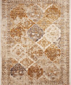 Vintage Collection Distressed | Bohemian | Beige/Brown Chic Area Rug - 4x6 ft